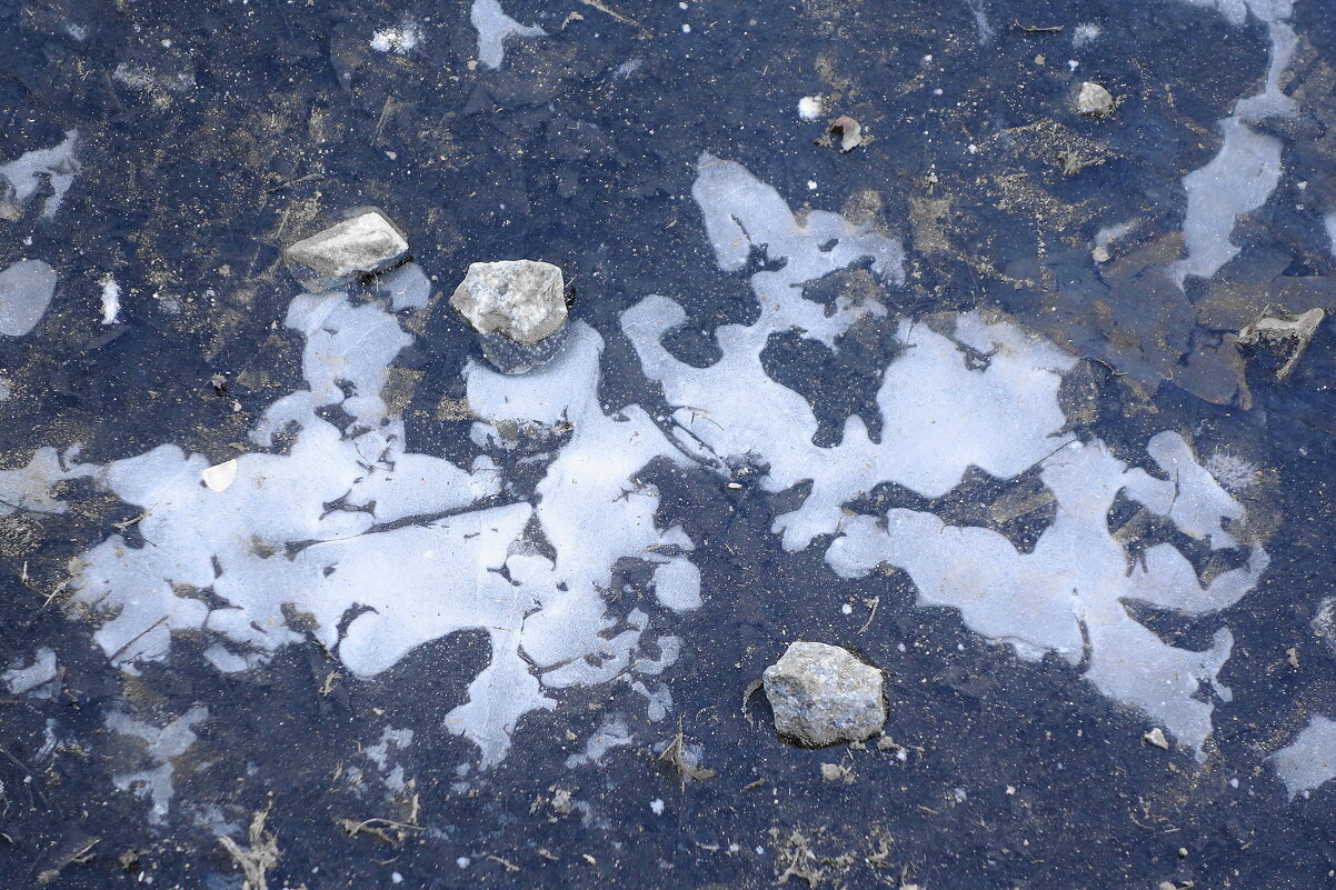 Зимние фантазии - Рита Симонова