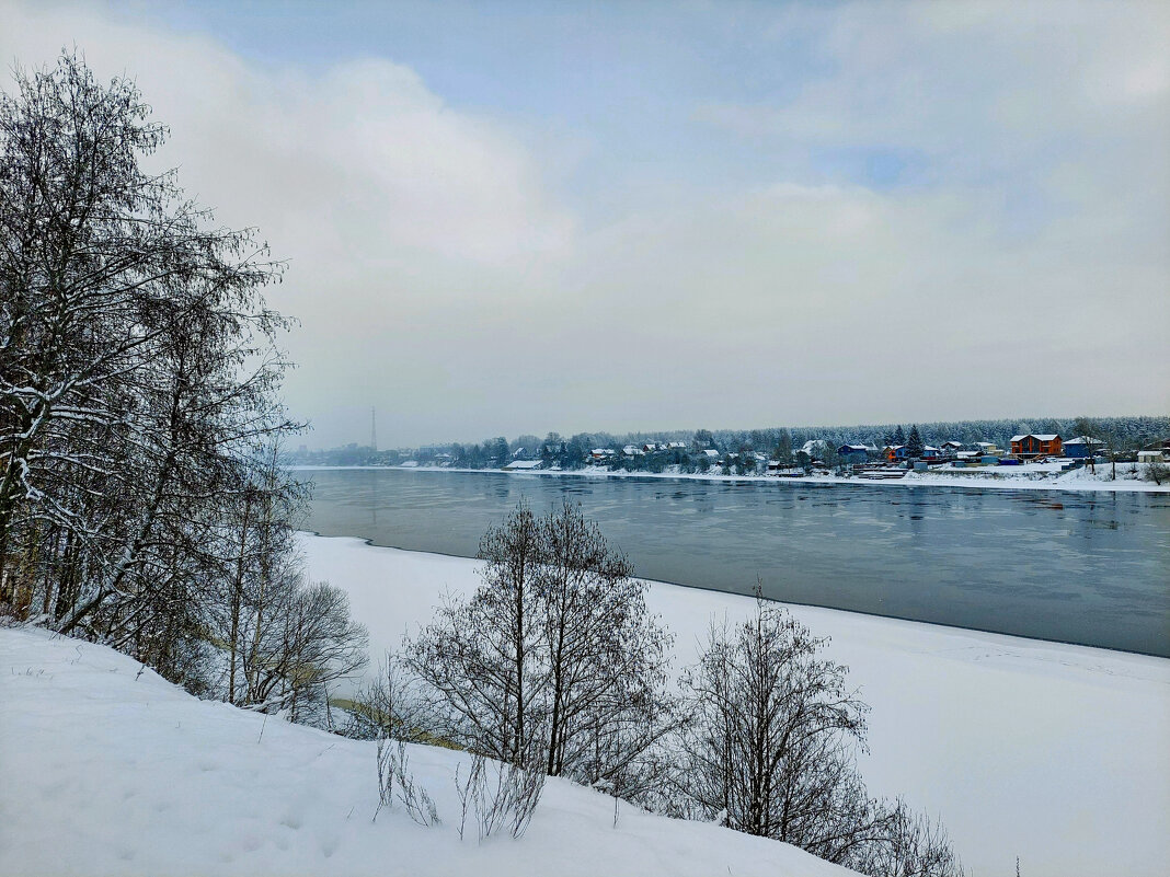 Нева в феврале - Ирина Румянцева