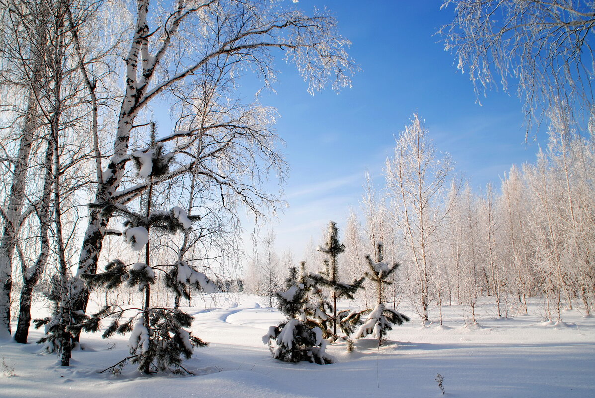 Зимний пейзаж - lyudmila Курлова