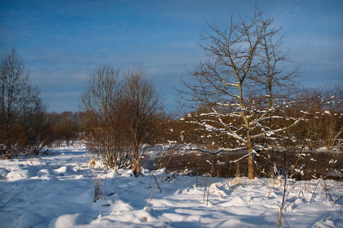 Природа в феврале - lady v.ekaterina