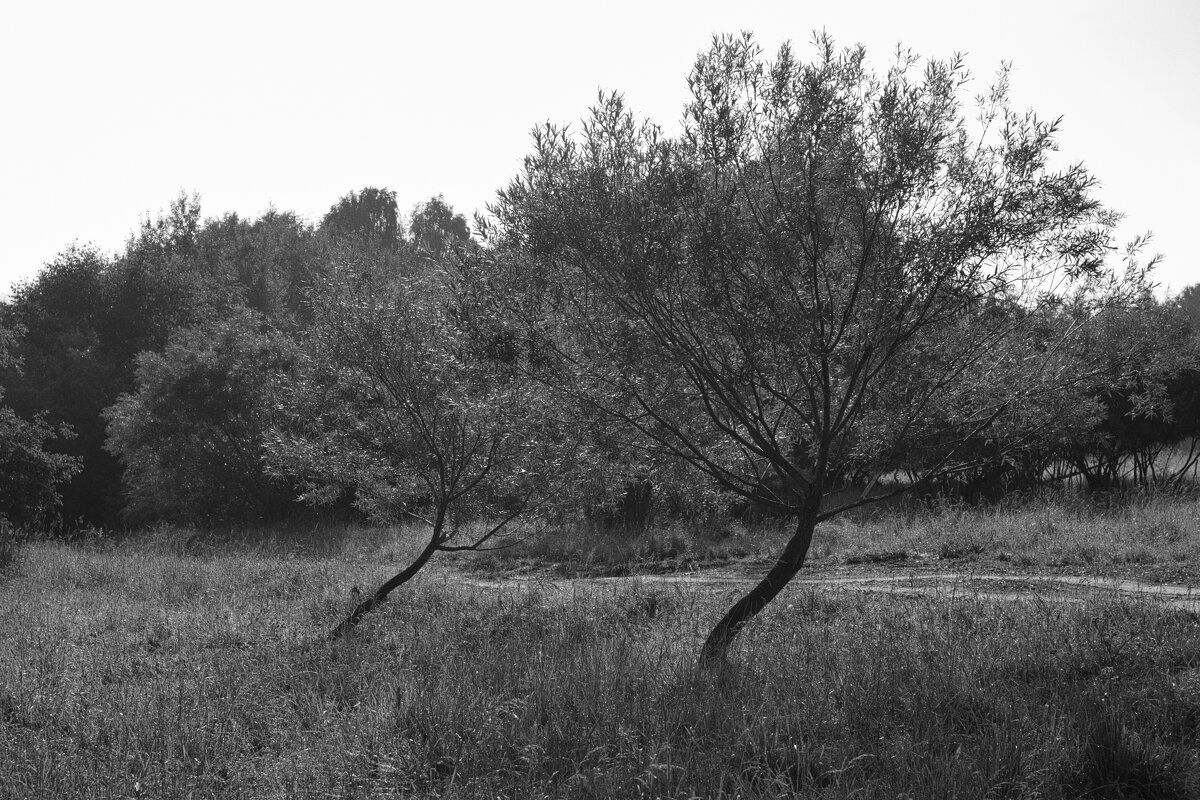 Название отсутствует - Денис Безногов