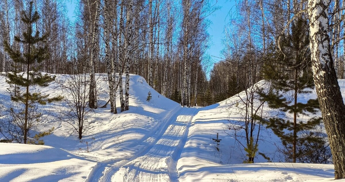 В тишине зимнего леса! - Елена Хайдукова ( Elena Fly ) В тишине зимнего леса! - Елена Хайдукова ( Elena Fly )