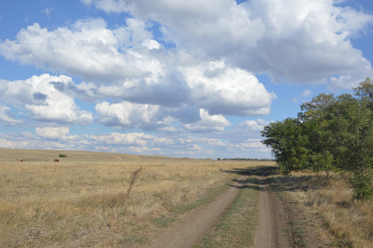 Мои дороги. - Виктор 