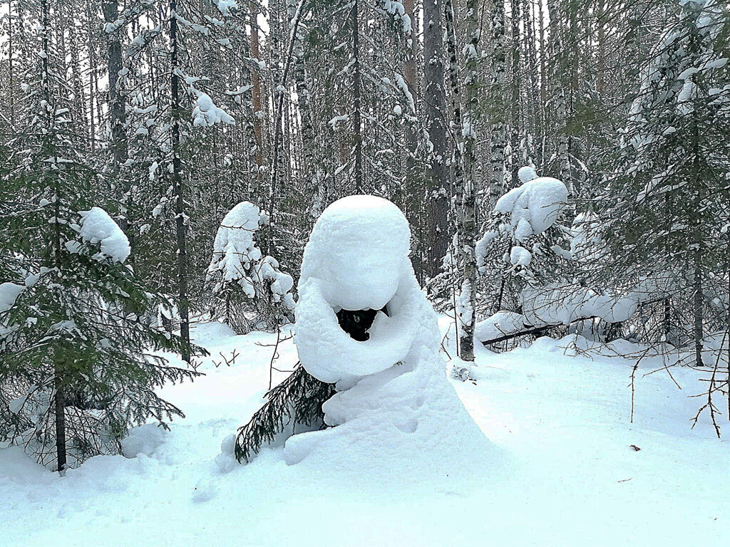 Фантазии зимы - Алевтина 