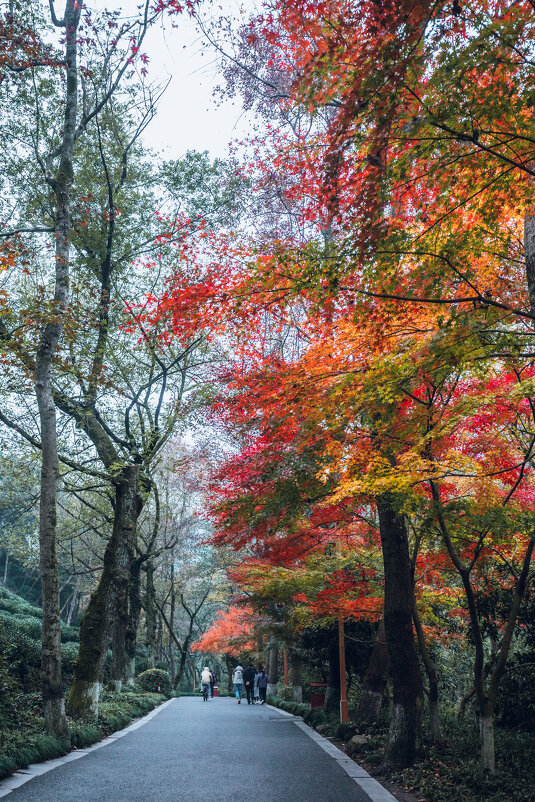 Осенний парк - Дмитрий 