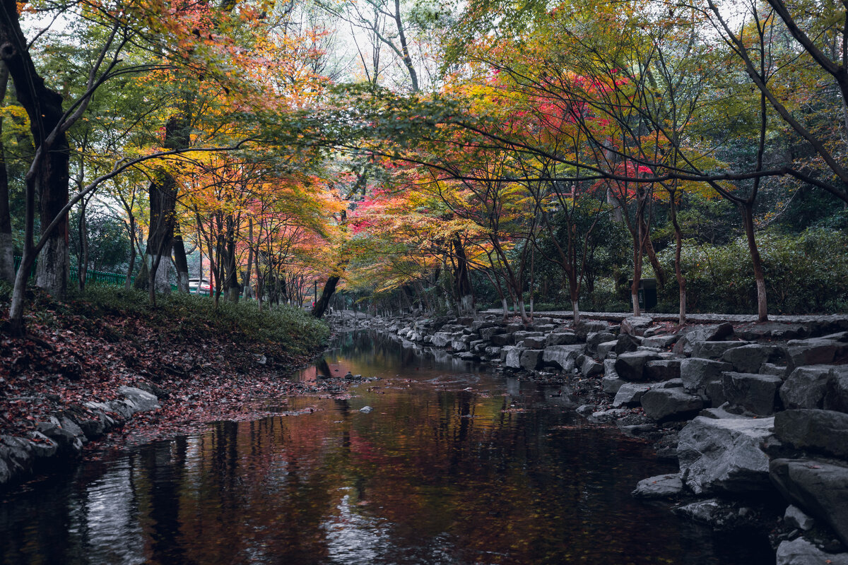 Цзюси, или девять ручьев в туманном лесу - Дмитрий Цзюси, или девять ручьев в туманном лесу - Дмитрий