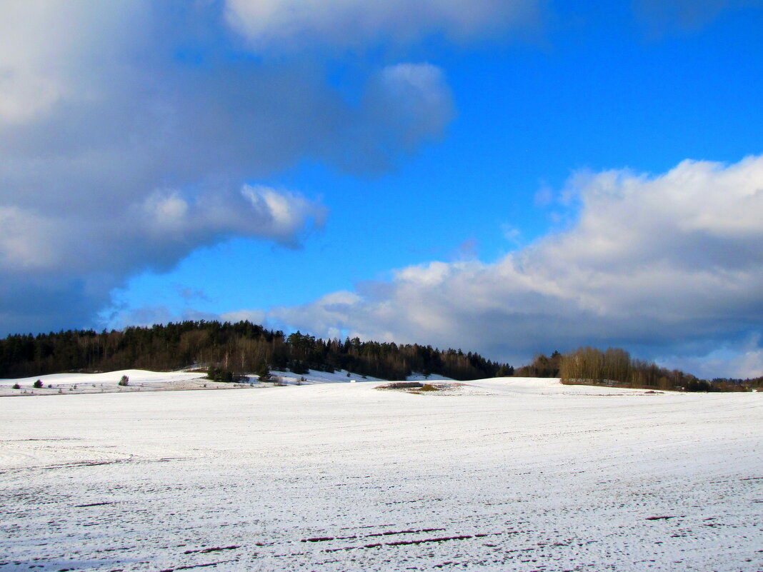 Февральский денёк... - Татьяна Гнездилова Февральский денёк... - Татьяна Гнездилова