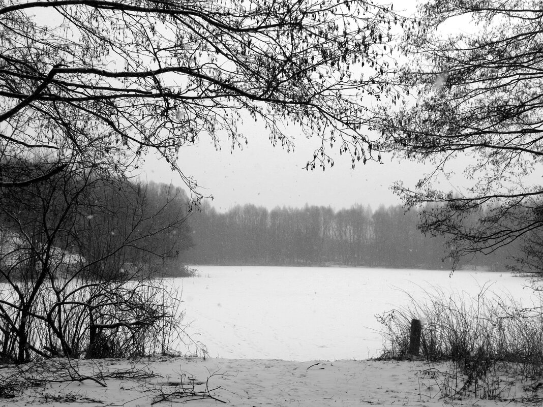 Когда скрылось Солнце... - Андрей Снегерёв