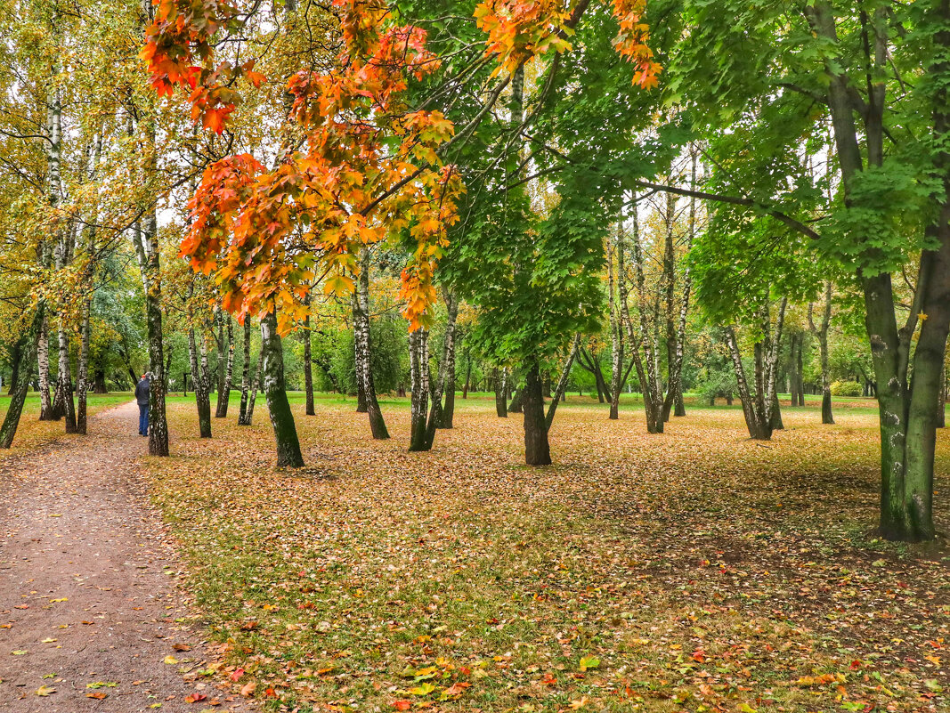 Осень в Коломенском - Irene Irene