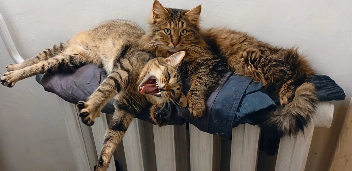 Греемся. - Михаил Столяров