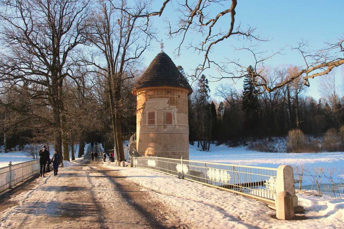Зимний Павловск - Наталья Герасимова Зимний Павловск - Наталья Герасимова