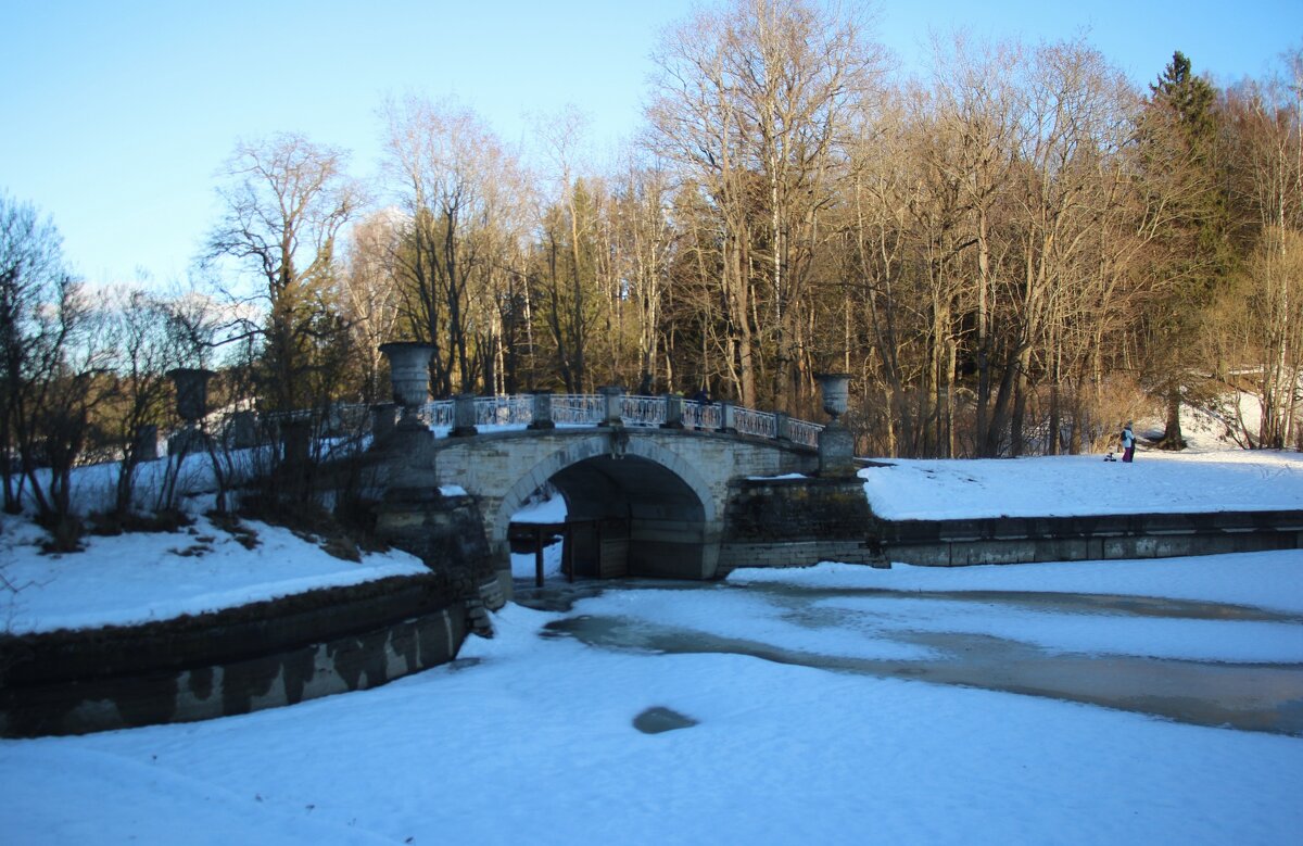 Зимний Павловск - Наталья Герасимова Зимний Павловск - Наталья Герасимова