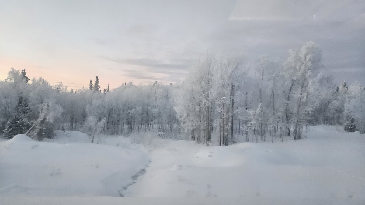 Зимняя сказка - Сергей Черник Зимняя сказка - Сергей Черник