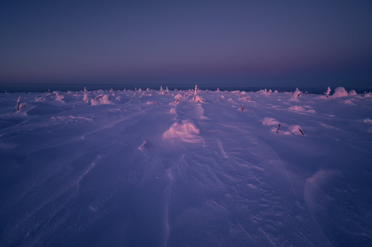 * - Александр Иванов