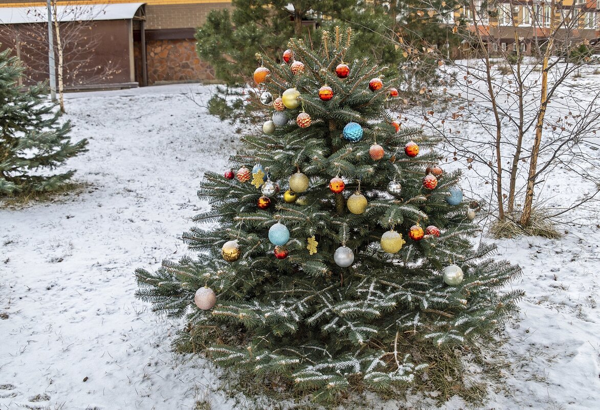 У кого-то Новый год ещё не закончился - Валерий Иванович У кого-то Новый год ещё не закончился - Валерий Иванович
