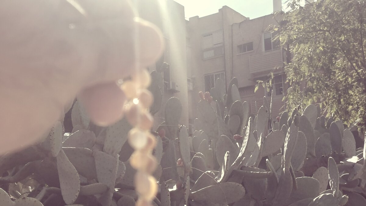 12  КЛОС (567) - CLOSE WAYS ALL