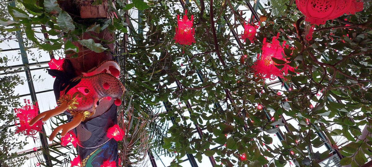 в Аптекарском огороде - ИРЭН@ . в Аптекарском огороде - ИРЭН@ .