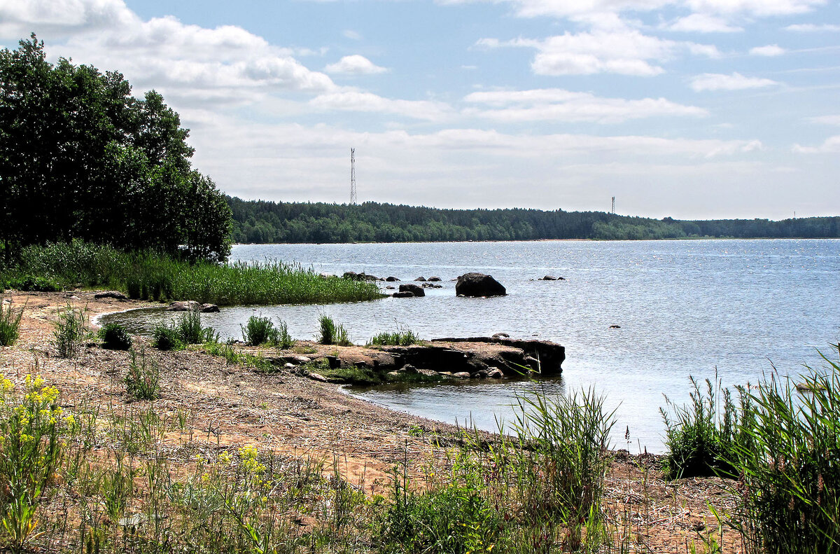 На заливе - Александр Ильчевский На заливе - Александр Ильчевский
