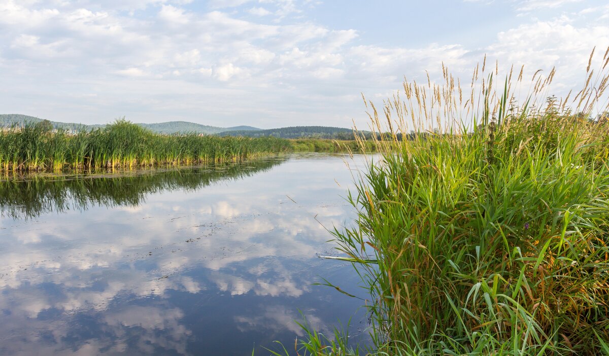 Летнее утро на реке Миасс. - Алексей Трухин