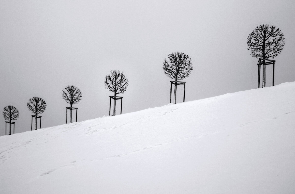 *** - Сергей Григорьев *** - Сергей Григорьев