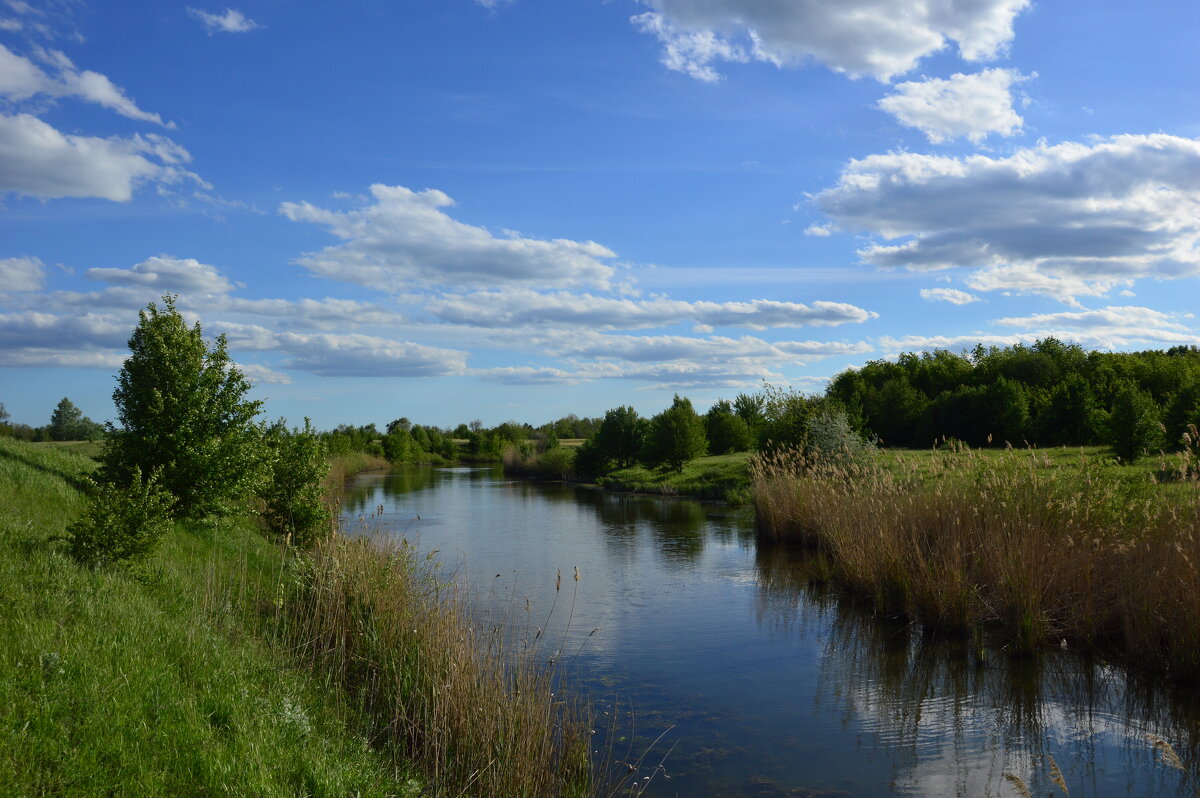 Местная река. - Виктор Местная река. - Виктор