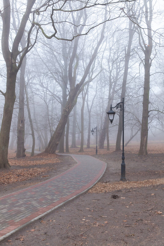 туман - Denis Doroshenko