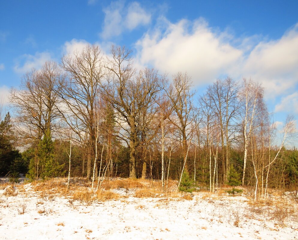 В ожидании весны - Андрей Снегерёв