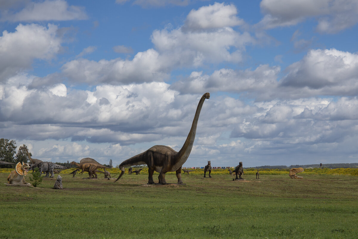 На выгуле) - Светлана Карнаух На выгуле) - Светлана Карнаух