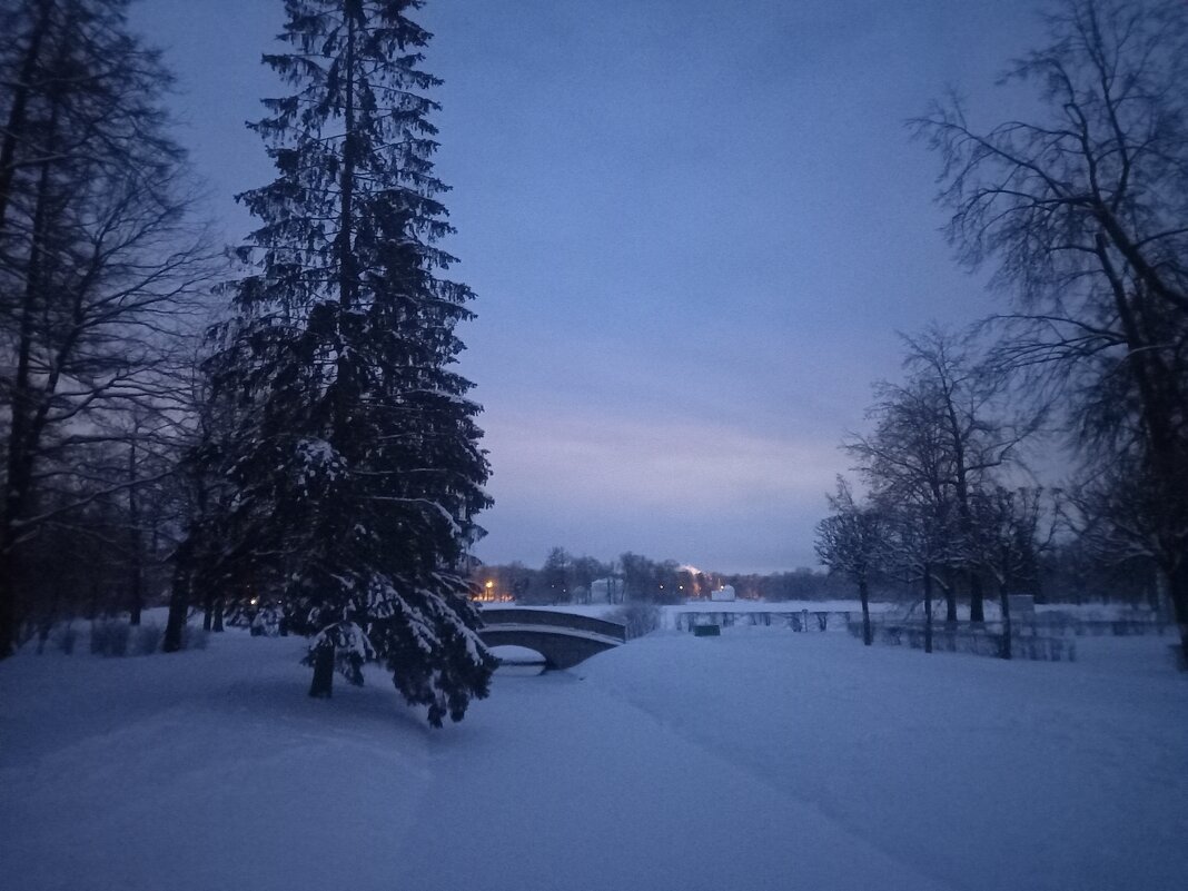 Утро - Сапсан Утро - Сапсан