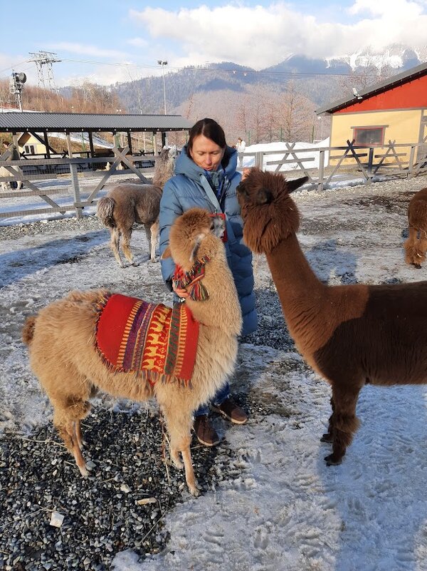 КРАСНАЯ ПОЛЯНА. ФЕВРАЛЬ 2025 - Tata Wolf