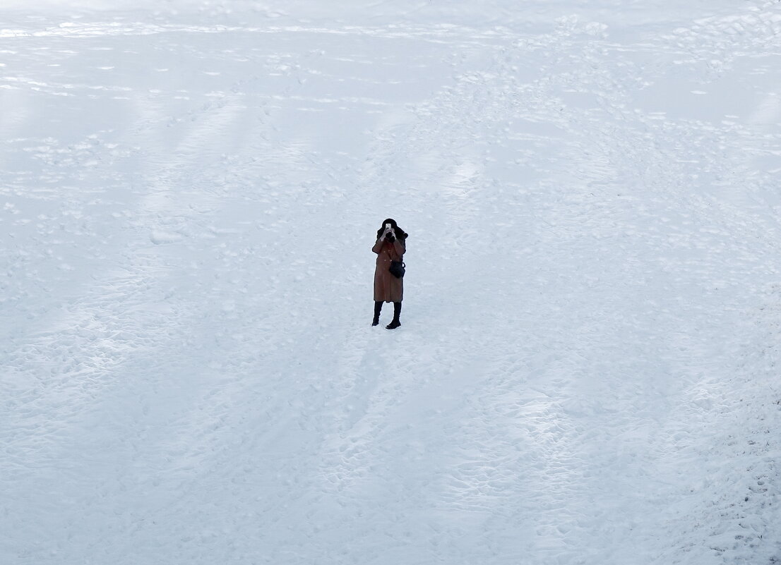 С крыши Казанского Собора - Игорь Корф С крыши Казанского Собора - Игорь Корф