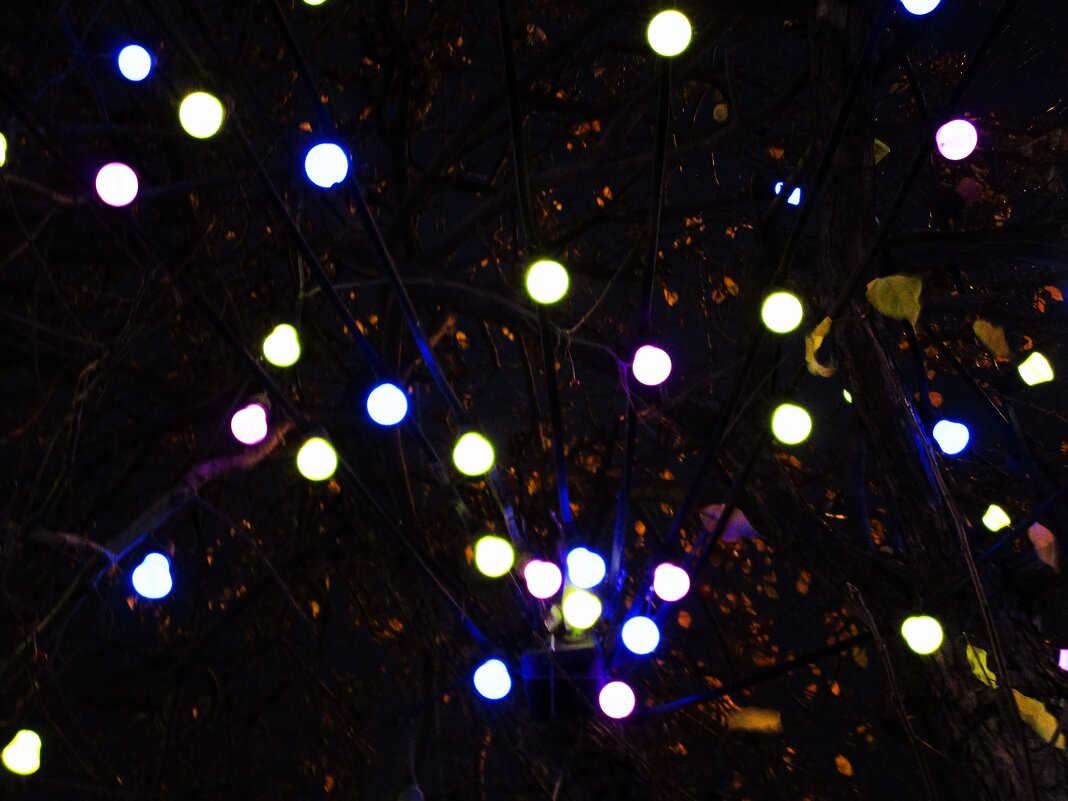 Вечерний Екатеринбург - Елена Шаламова