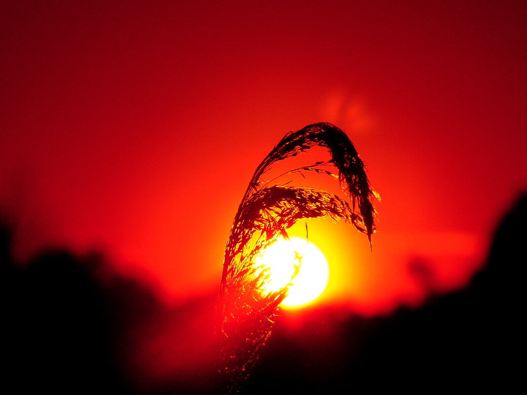 Настроение - олег свирский Настроение - олег свирский