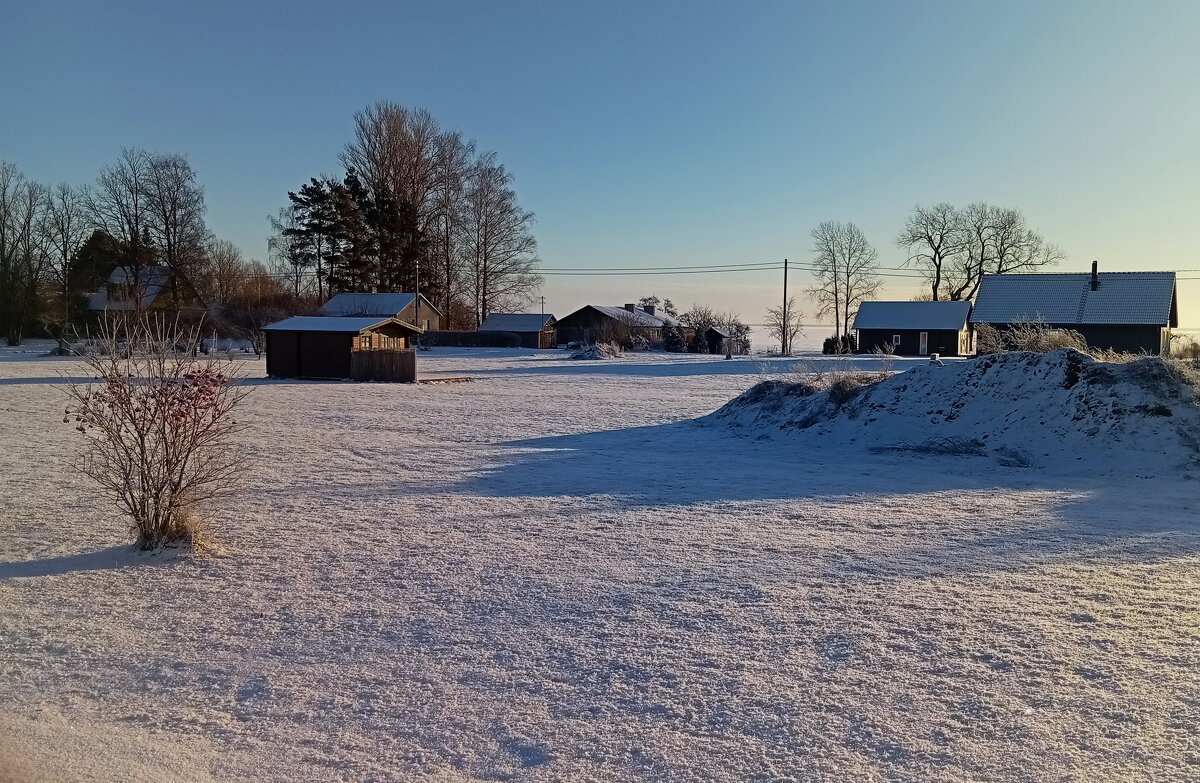 Серединка февраля... - Татьян@ Ивановна