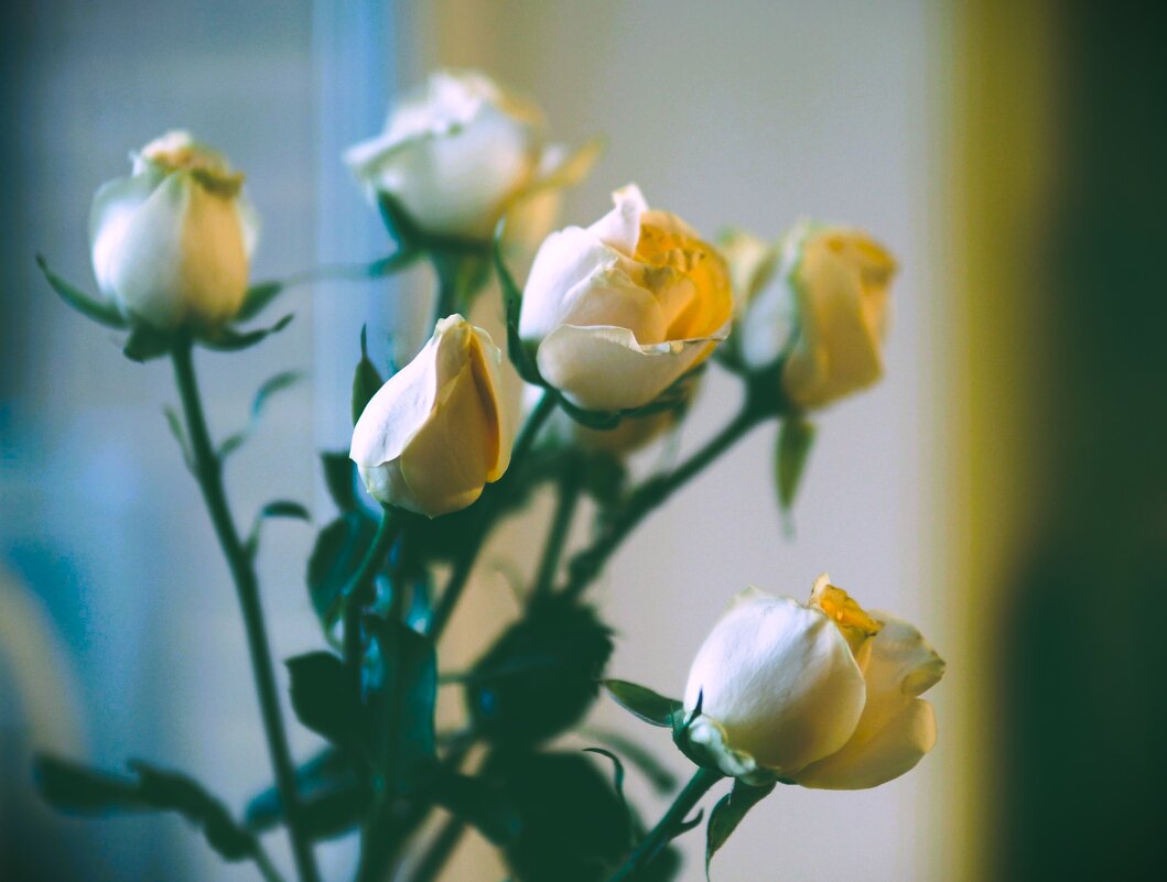 Про цветы - Магомед .