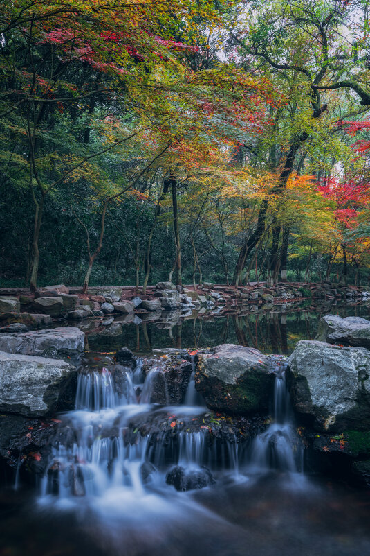 В парке Ханчжоу - Дмитрий В парке Ханчжоу - Дмитрий