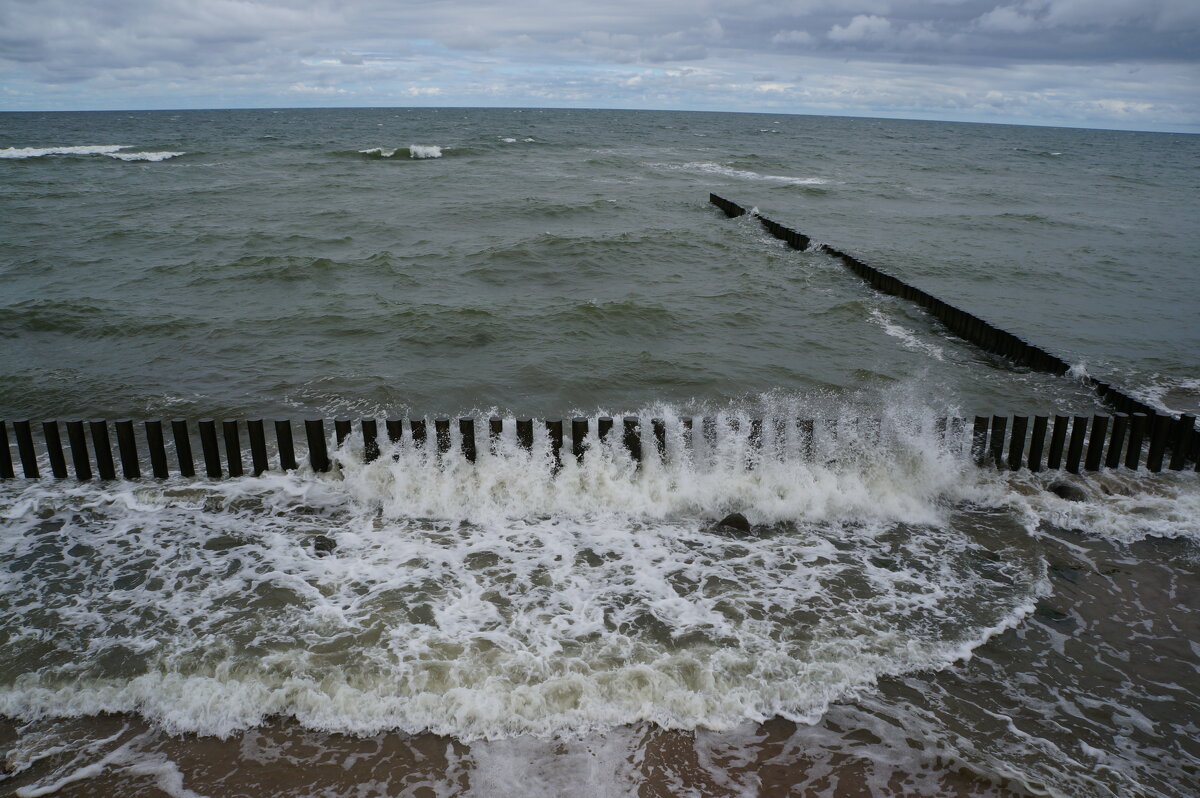 ~Раз~вол ~но ~ва ~лось~ - Алёна Савина ~Раз~вол ~но ~ва ~лось~ - Алёна Савина