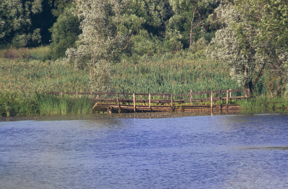 На Леденёвском озере - Sergei Vikulov На Леденёвском озере - Sergei Vikulov