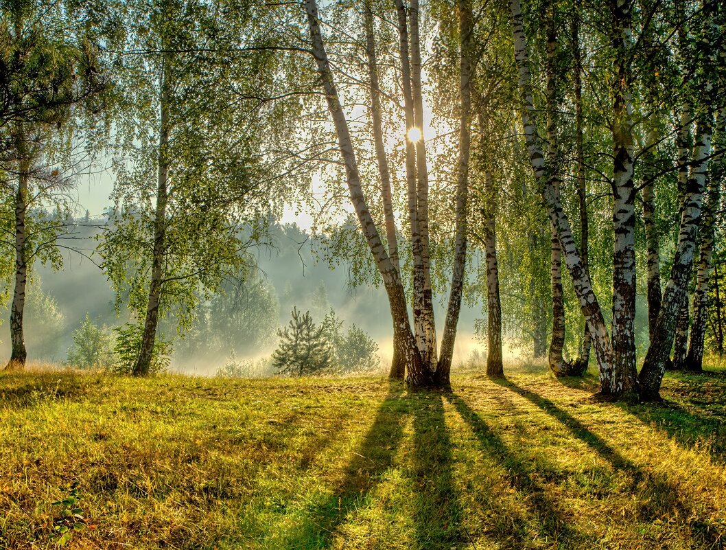 Солнечное утро - Юрий Спасенников Солнечное утро - Юрий Спасенников