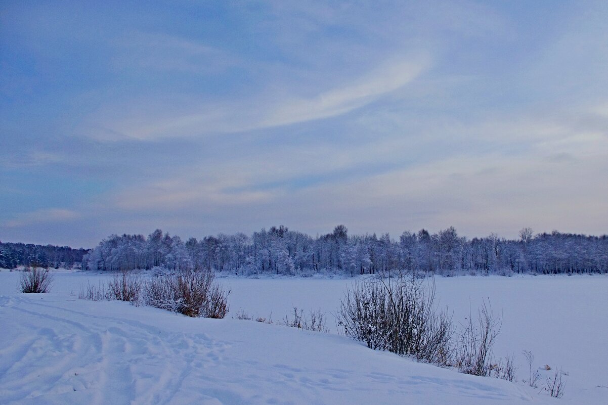 На озере - Сергей Швечков На озере - Сергей Швечков