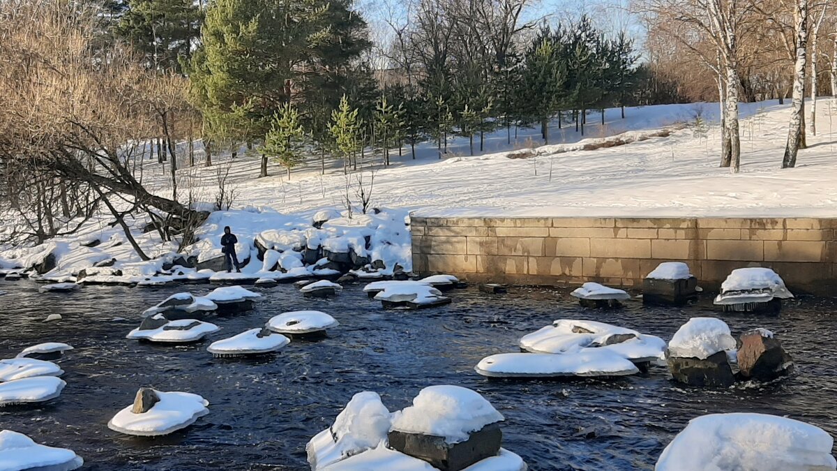 Сестрорецк. Водосливной канал - Наталья Герасимова