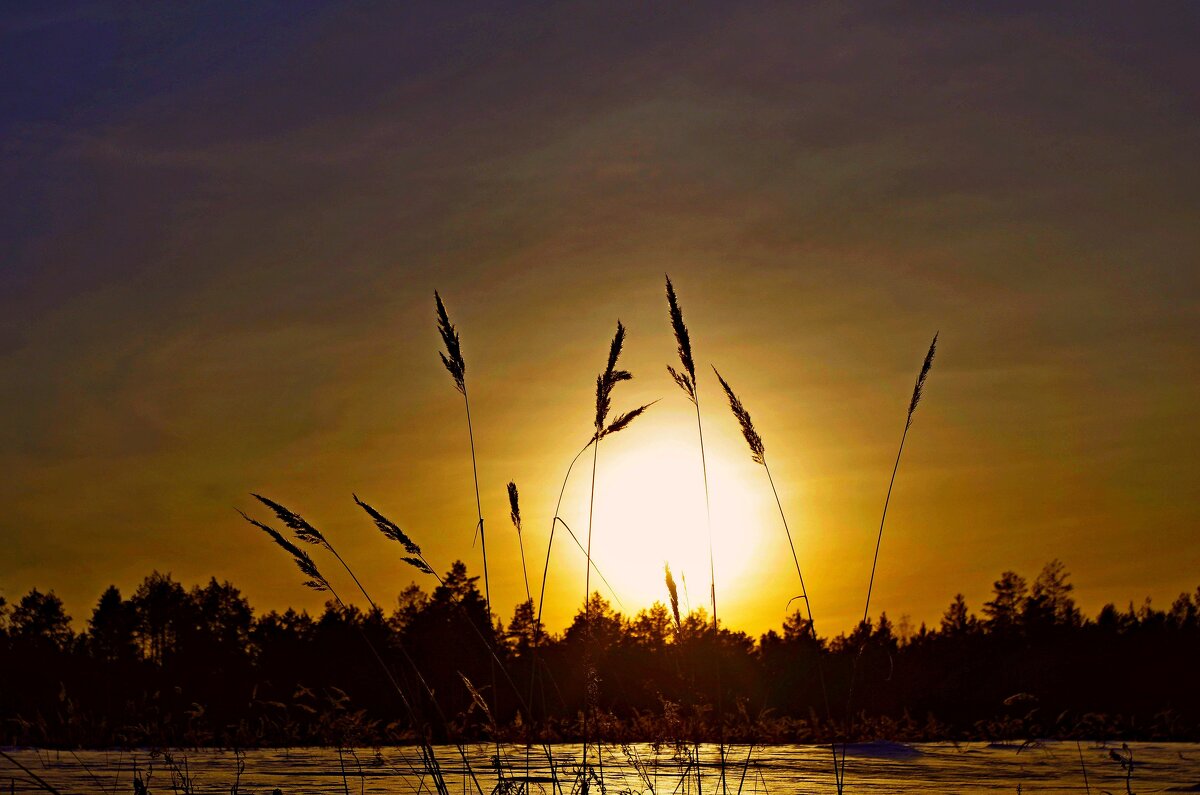 Закат солнца зимой - Сергей Швечков Закат солнца зимой - Сергей Швечков