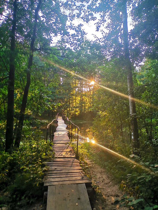 Летний вечер на пороге. - Евгения Куприянова
