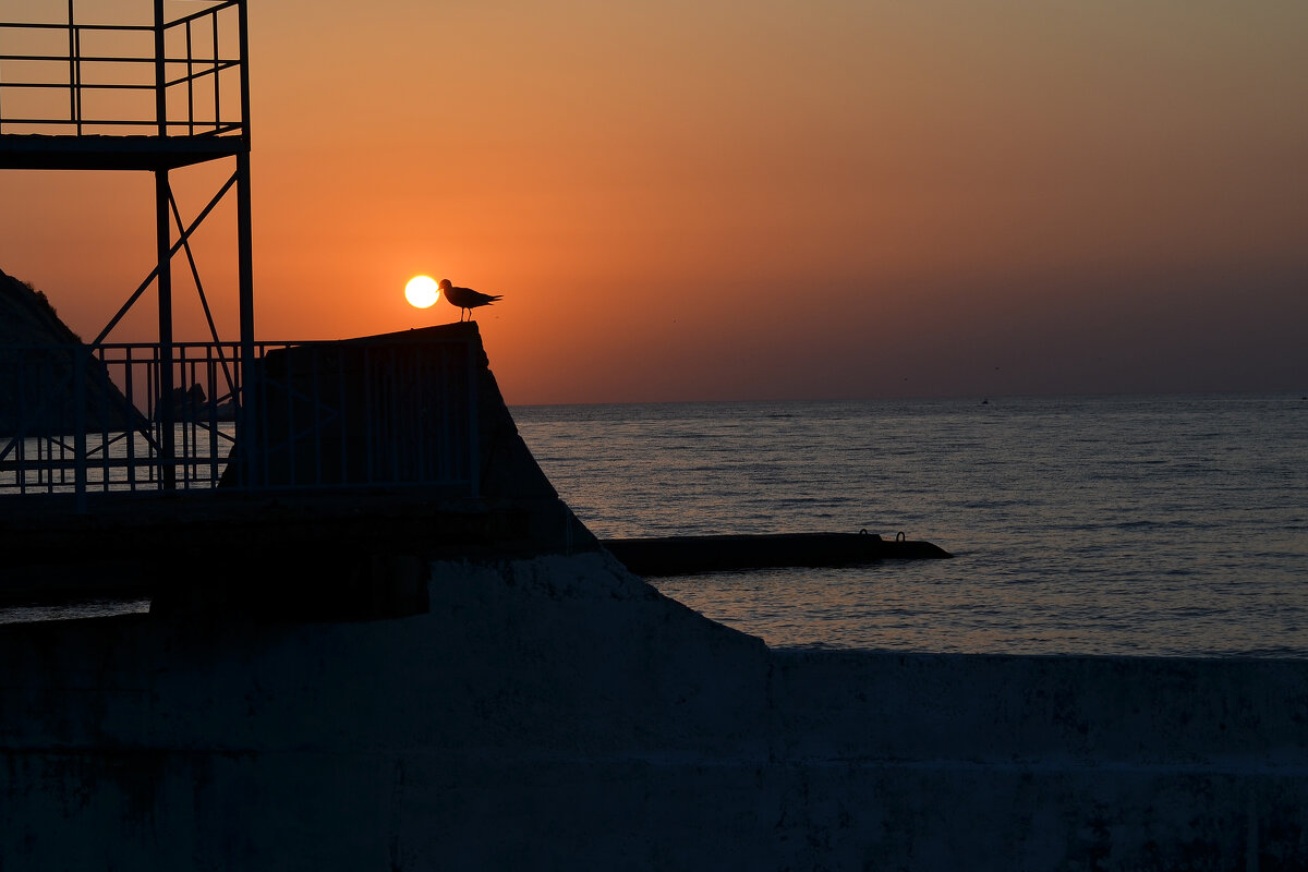 Не клюй солнце! - Валерий Пославский Не клюй солнце! - Валерий Пославский