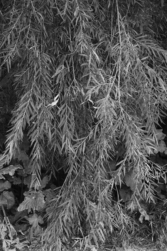 Название отсутствует - Денис Безногов