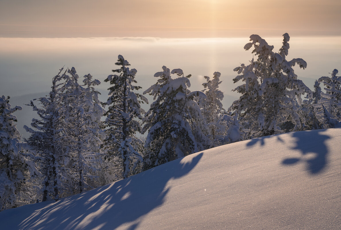 * - Александр Иванов * - Александр Иванов