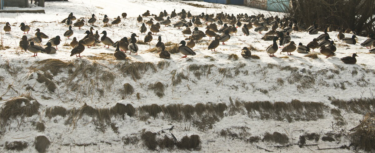 На отдыхе... - Владимир Зырянов На отдыхе... - Владимир Зырянов