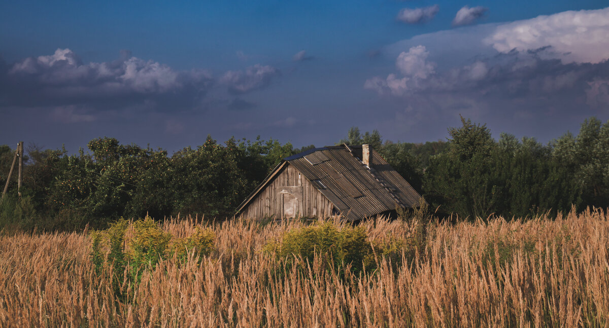 Дом Клопа - Sergei Vikulov