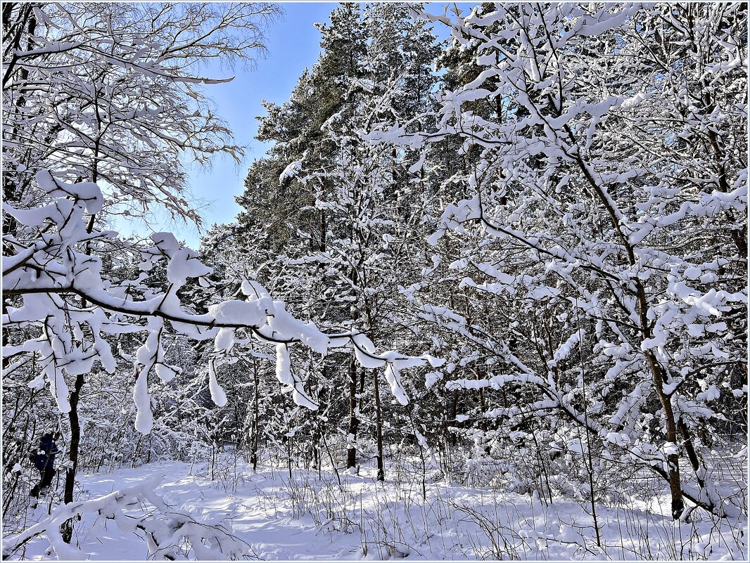 В зимнем лесу. - Валерия Комова В зимнем лесу. - Валерия Комова
