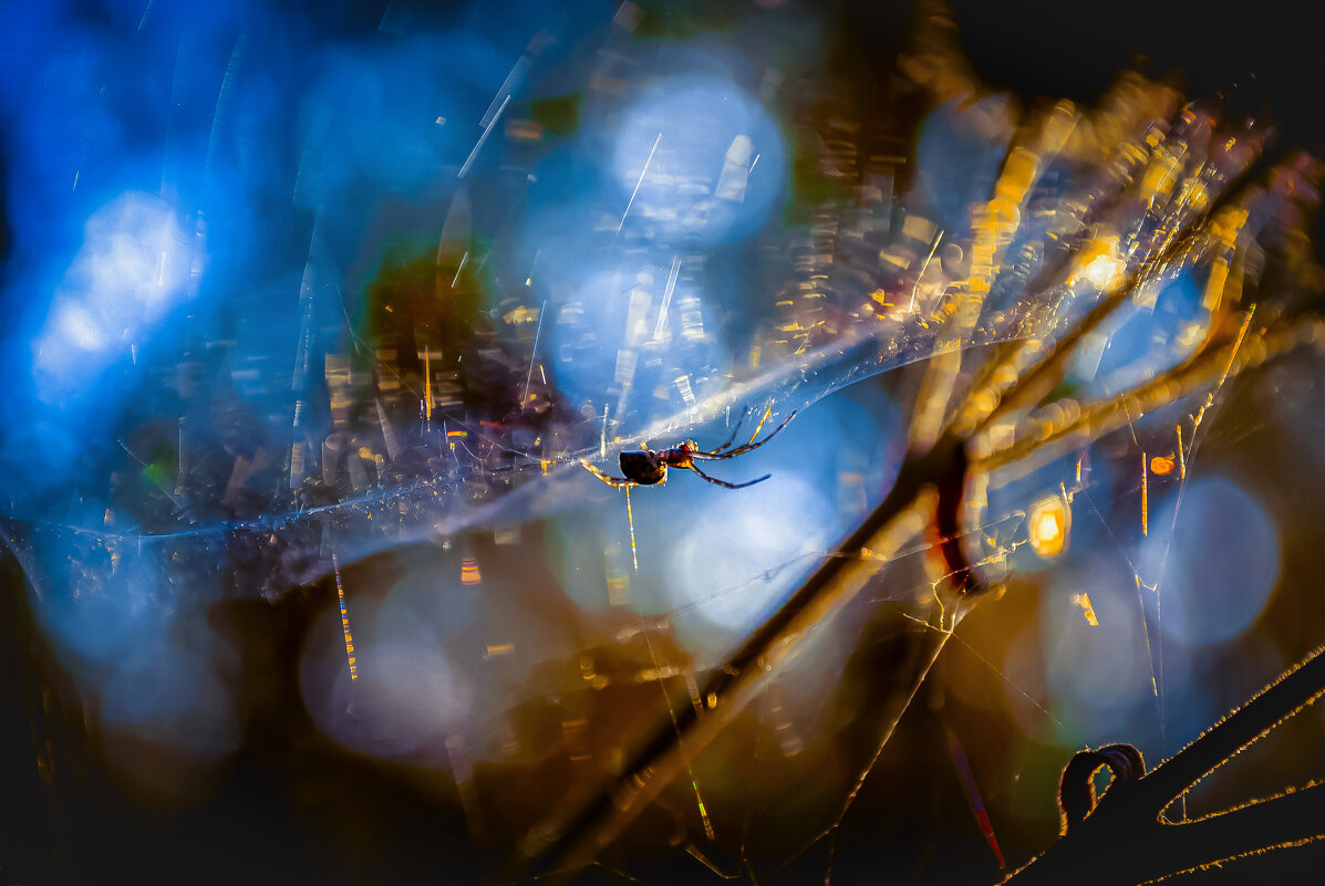 Игра в прядки - Lyubov Busova